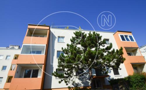 Moderne 3-Zimmer-Loggia-Wohnung in Grünruhelage!