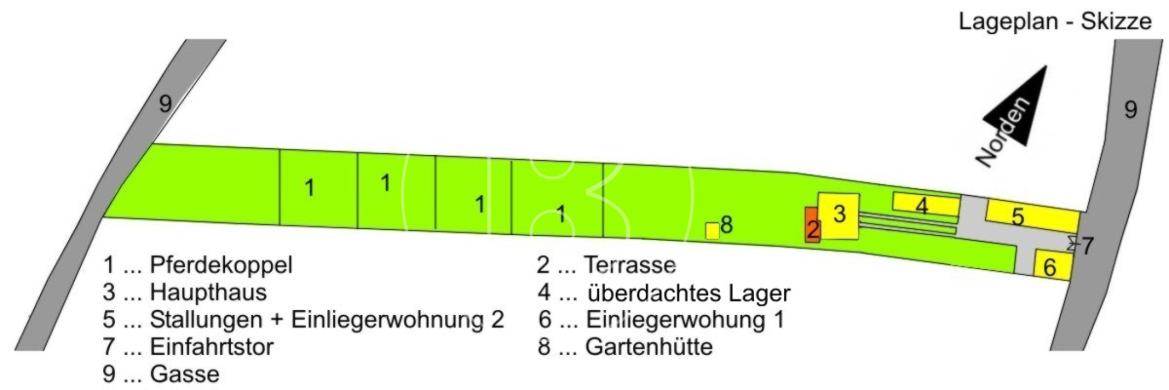 Paradies für Mensch, Pferd & andere Vierbeiner - nahe Wien - 27