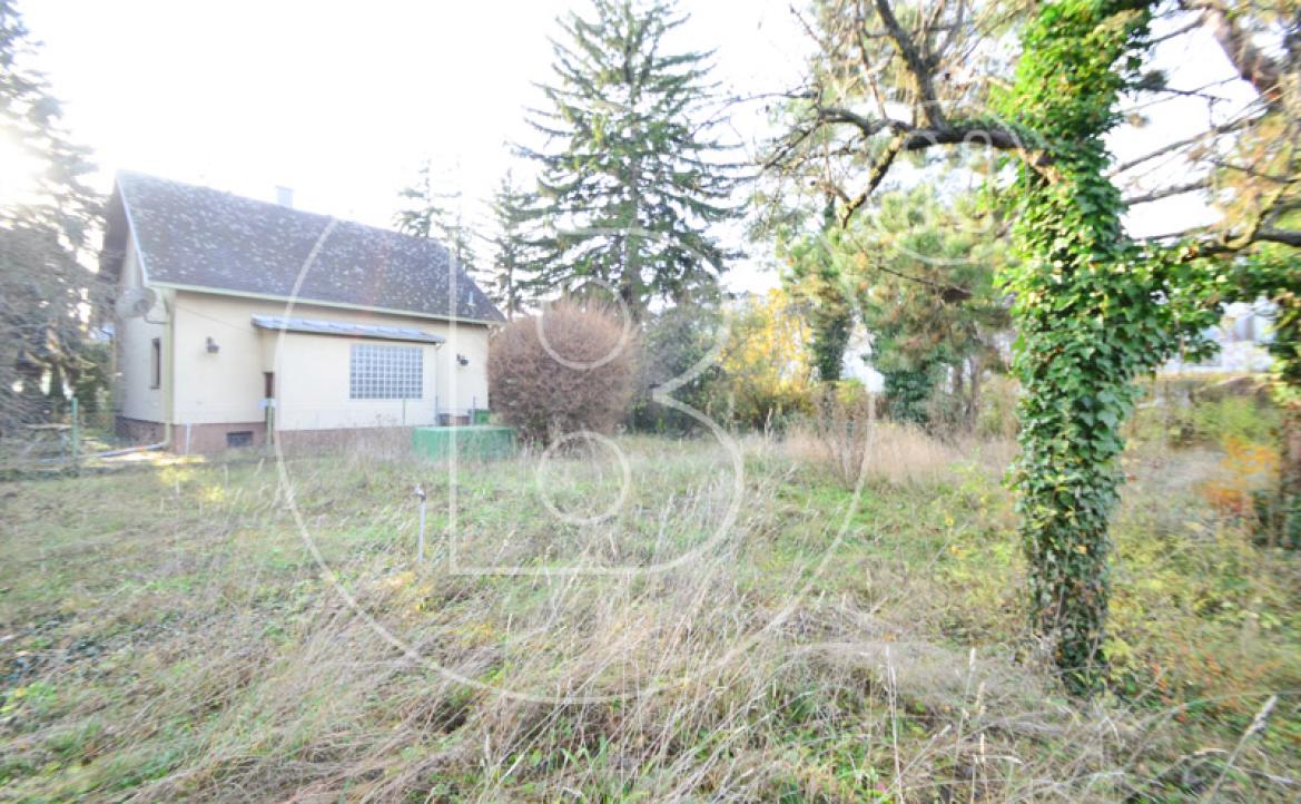 <p>Baugrundstück in ruhiger Wohnlage!</p> - 6