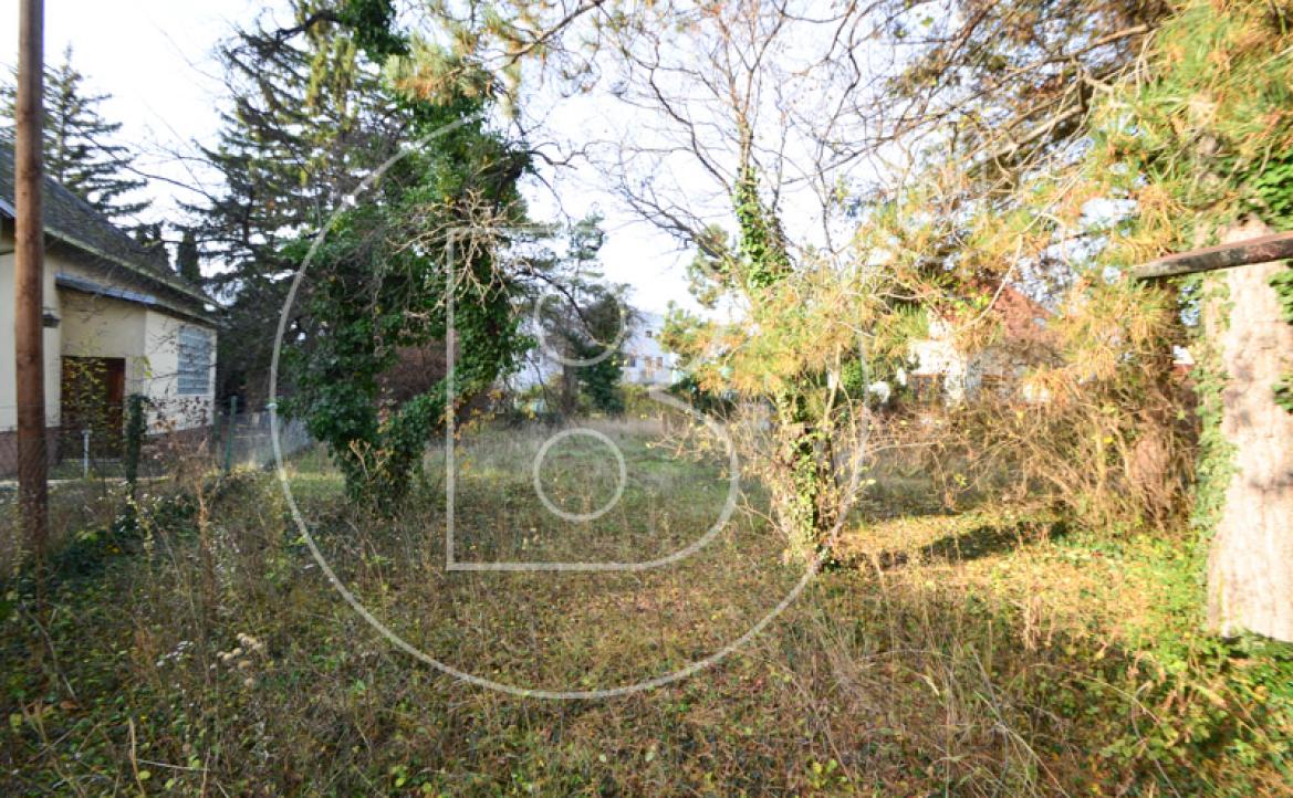 <p>Baugrundstück mit Altbestandsgebäude in nachgefragter Wohnlage!</p> - 6