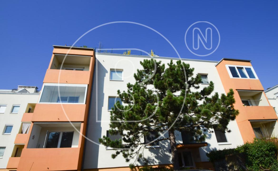 <p>Moderne 3-Zimmer-Loggia-Wohnung in Grünruhelage!</p> - 1