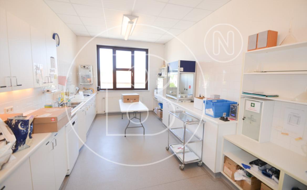 <p>Anlagejuwel mit 7 % Rendite - vermietetes "Ärztehaus" in zentraler Lage von Zistersdorf!</p> - 10