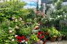 <p>Dachgeschossjuwel mit Blumenparadies-Terrasse in zentraler Lage!</p> - 4