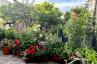 <p>Dachgeschossjuwel mit Blumenparadies-Terrasse in zentraler Lage!</p> - 5