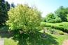 <p>Wohn- und/oder Gewerbeliegenschaft mit dem "gewissen Etwas"!</p> - 5