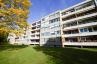 Renovierungsbedürftige 3-Zimmer-Loggia-Wohnung - 1